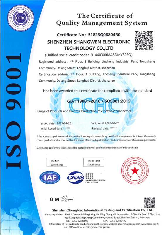 ISO9001 English